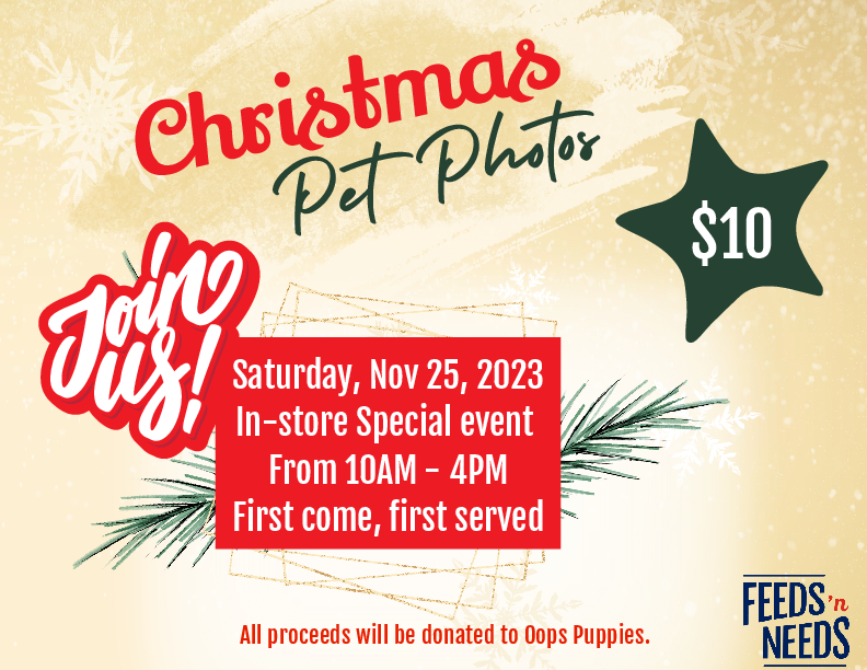 Holiday Pet Photos at Feeds n' Needs, Port Williams (November 25, 2023