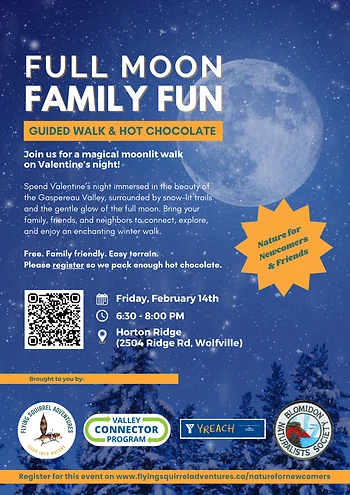 Poster for Full Moon Family Fun