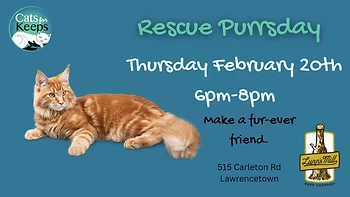 Poster for Rescue Purrsday