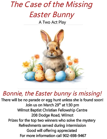 Poster for The Missing Easter Bunny