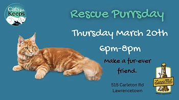 Poster for Rescue Purrsday