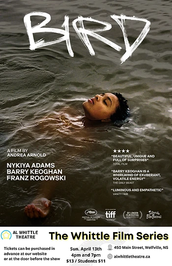Poster for Bird