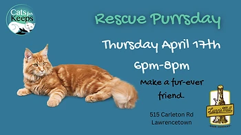 Poster for Rescue Purrsday