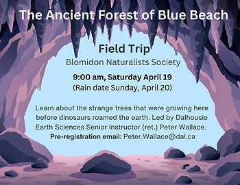 Poster for The Ancient Forest of Blue Beach
