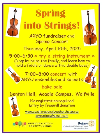 Poster for ARYO concert and "Try a string instrument"