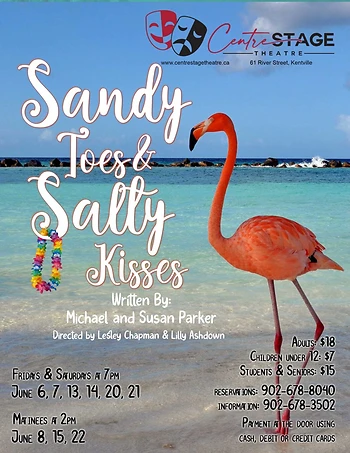 Poster for Sandy Toes & Salty Kisses