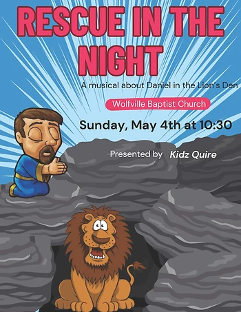 Poster for Rescue in the Night