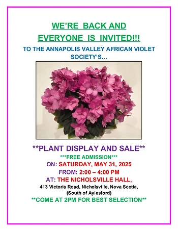 Poster for African Violet  Display and Sale