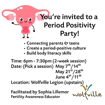 Poster for Period Positivity Workshop
