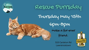 Poster for Rescue Purrsday