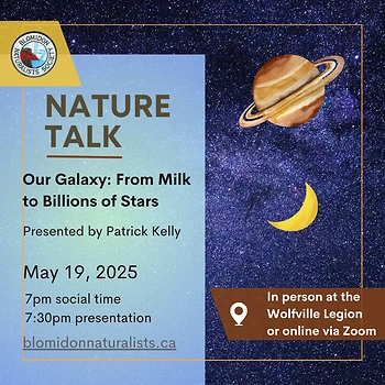 Poster for Nature Talk on the Galaxy