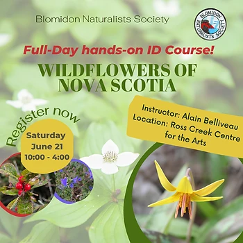 Poster for Wildflowers of NS