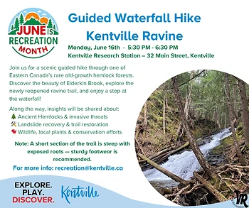 Poster for Guided Waterfall Hike