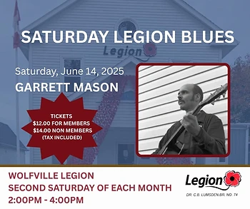 Poster for Legion Blues: Garrett Mason