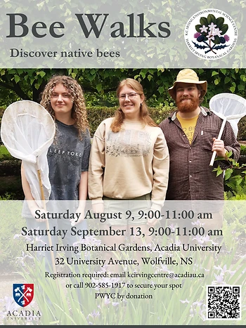 Poster for August Bee Walk