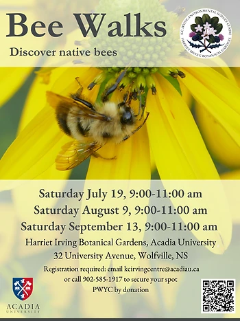 Poster for September Bee Walk