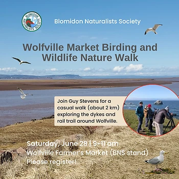 Poster for Wolfville Market Nature Walk