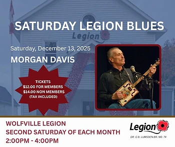 Poster for Legion Blues: Morgan Davis