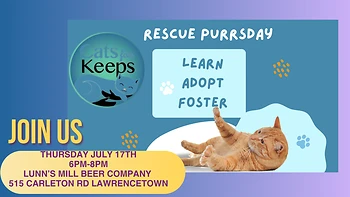 Poster for Rescue Purrsday