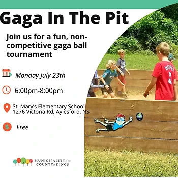 Poster for Pop up Gaga ball