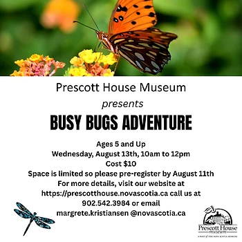 Poster for Busy Bugs Adventure