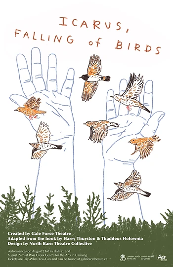 Poster for Icarus, Falling of Birds