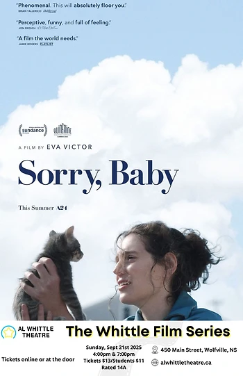 Poster for Sorry, Baby