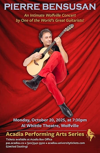 Poster for Pierre Bensusan
