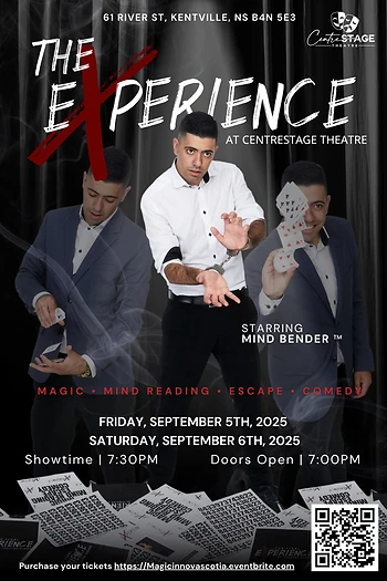 Poster for The Experience