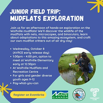 Poster for Junior Mudflats Field Trip