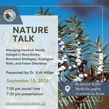Poster for Nature Talk on Hemlock Woolly Adelgids