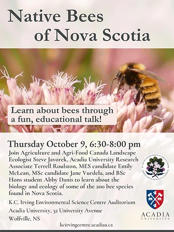 Poster for Native Bees of Nova Scotia