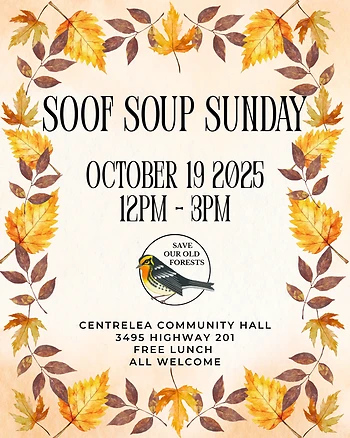 Poster for SOOF Soup Sunday
