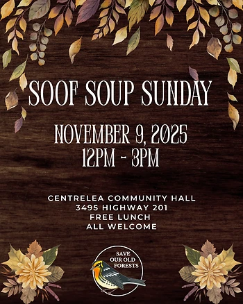 Poster for SOOF Soup Sunday