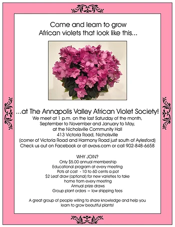 Poster for African Violet Society Meeting