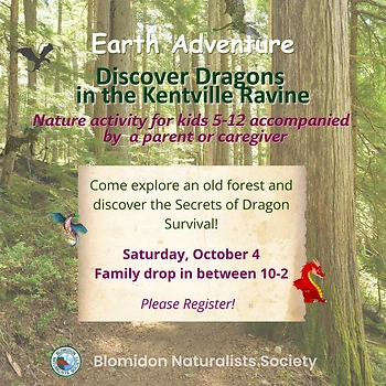 Poster for Discover Dragons Earth Adventure