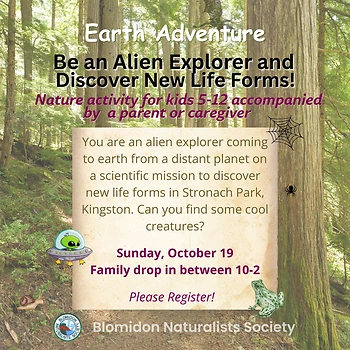 Poster for Alien Earth Adventure