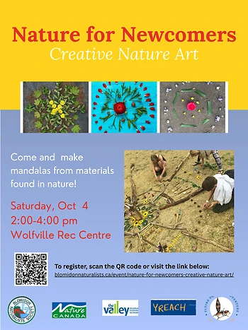 Poster for Creative Nature Art for Newcomers