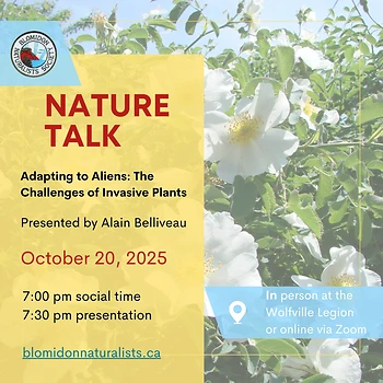 Poster for BNS Nature Talk on Invasive Species