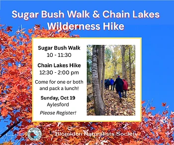 Poster for Sugar Bush Walk