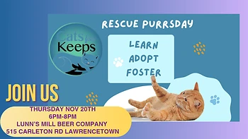 Poster for Rescue Purrsday