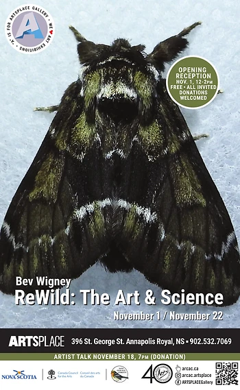 Poster for Artist Talk | ReWild / Bev Wigney