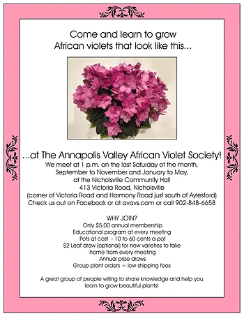 Poster for African Violet Society Meeting