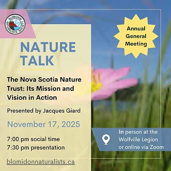 Poster for Nature Talk
