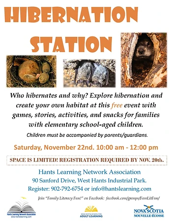 Poster for Hibernation Station Workshop