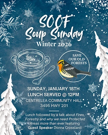 Poster for SOOF Soup Sunday