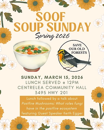 Poster for SOOF Soup Sunday