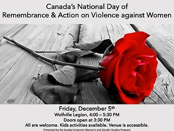 Poster for National Day of Remembrance and Action on Violence against Women