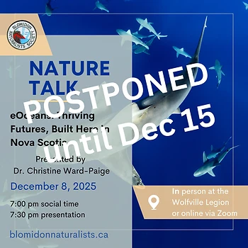 Poster for Nature Talk