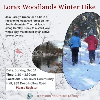 Poster for Lorax Woodlands Winter Hike